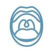 icon01